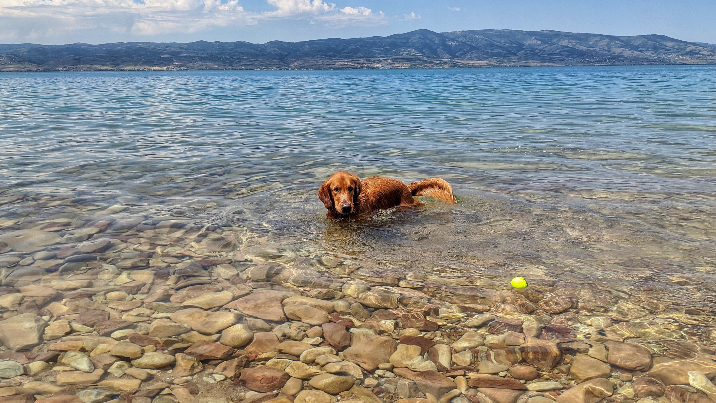 A rebounding Lake Powell, an exiting Salt Lake Bees and a dog-friendly city