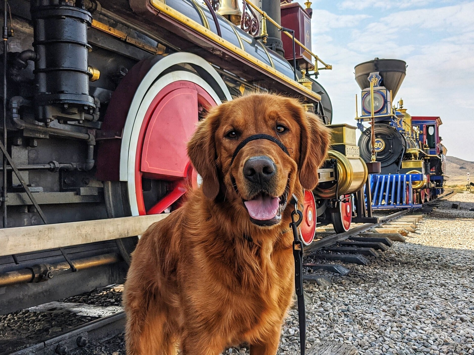 Scout smiles close to the camera in front of two vintage steam locomotives