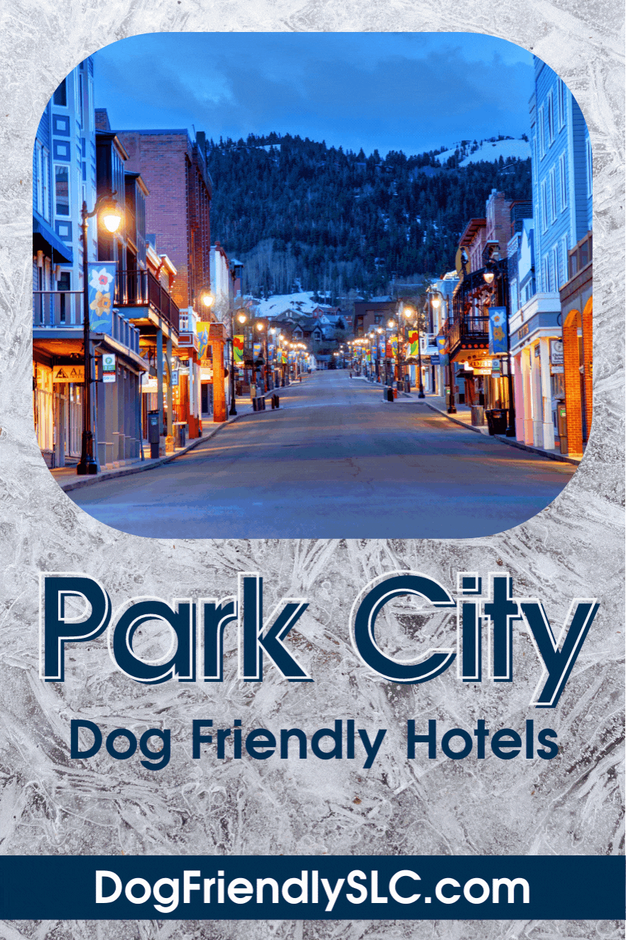 Park City Dog Friendly Hotels.gif