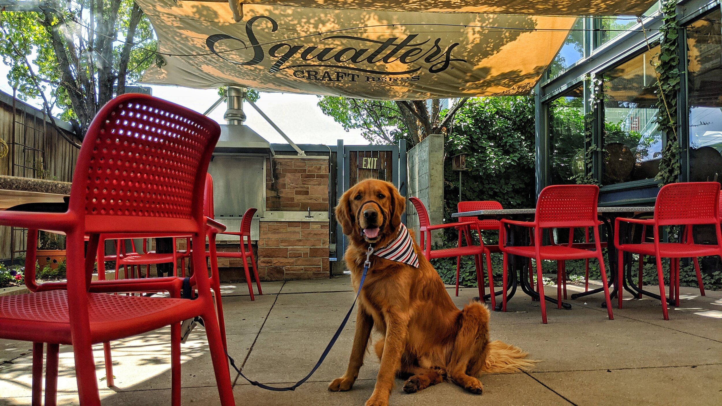 A golden retriever sits on a shaded, empty restaurant patio