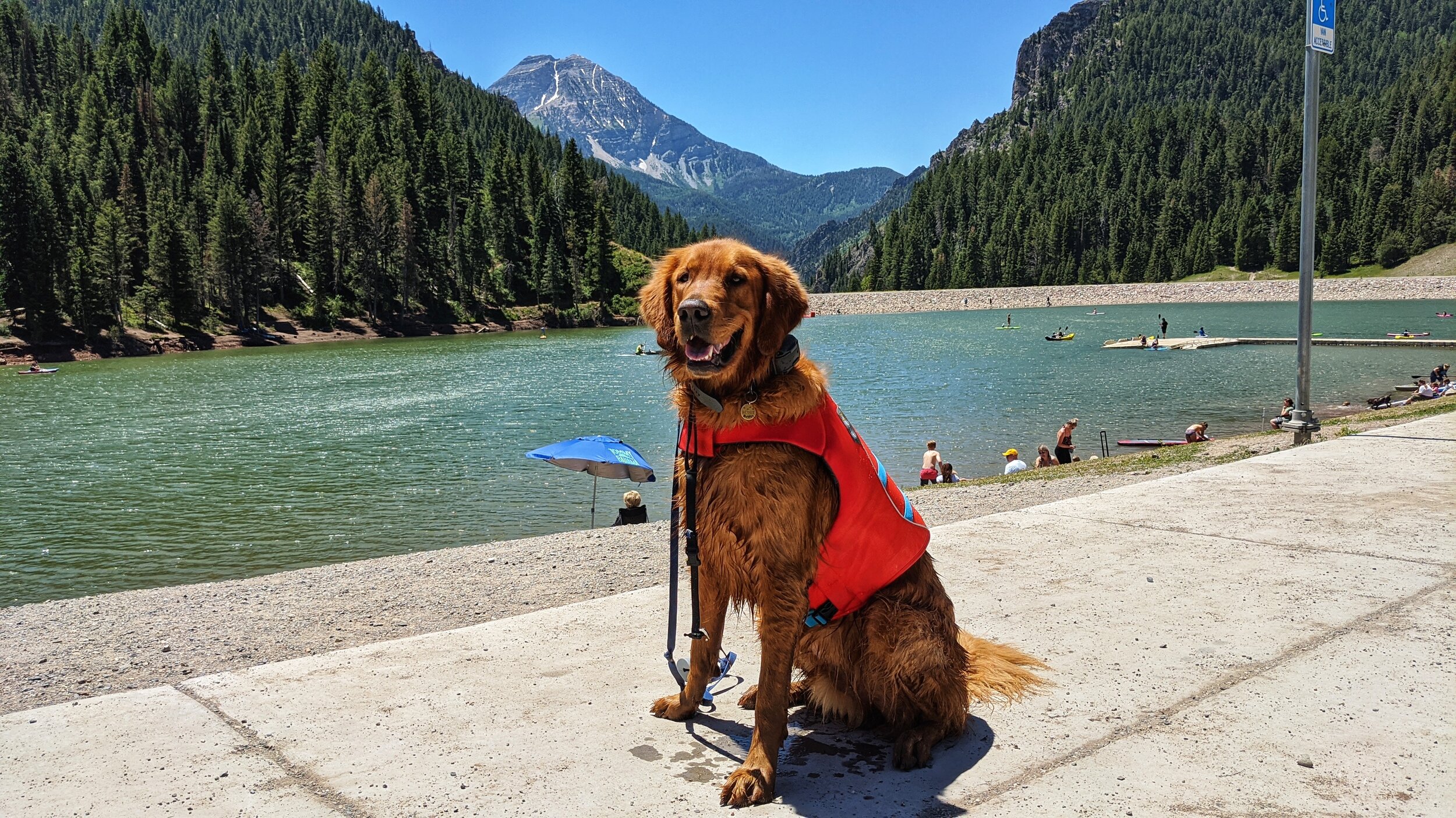 A rebounding Lake Powell, an exiting Salt Lake Bees and a dog-friendly city