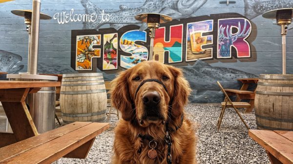 7 Dog Friendly Heated Patios to Take Advantage of in SLC