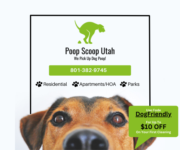 Poop Scoop Utah Dog Friendly SLC Website (600 x 500)