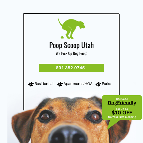 Poop Scoop Utah Dog Friendly SLC Website (500 × 500 px)