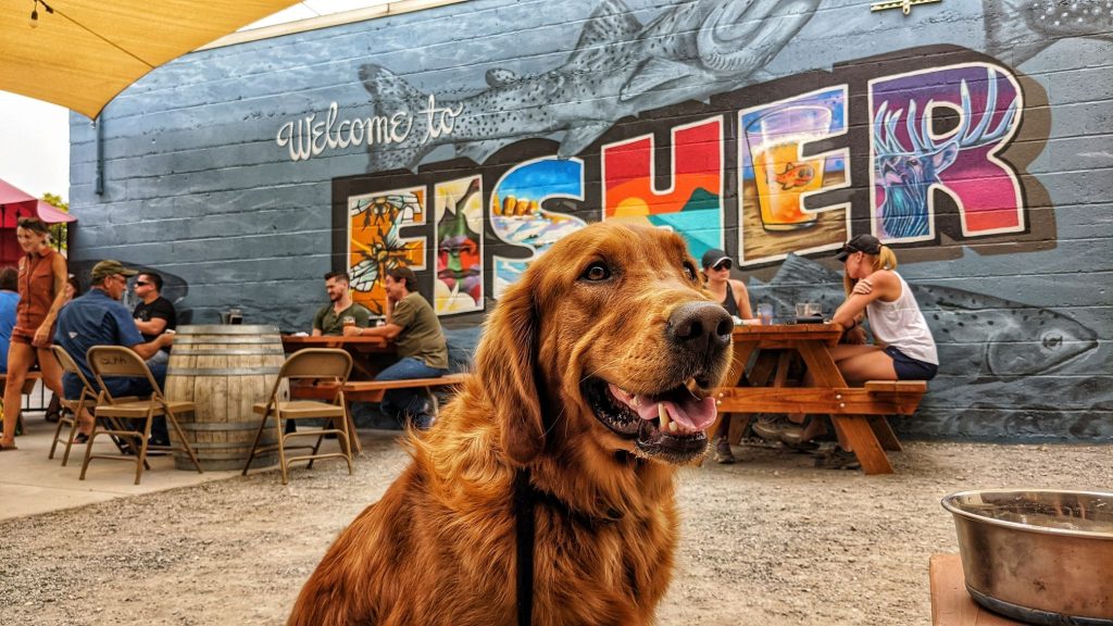 Fisher Brewing Company – Dog Friendly SLC