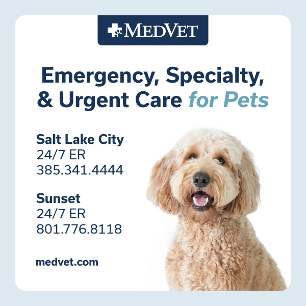 NU-SLC_DogFriendlyAd_MKTG_600x600_260512