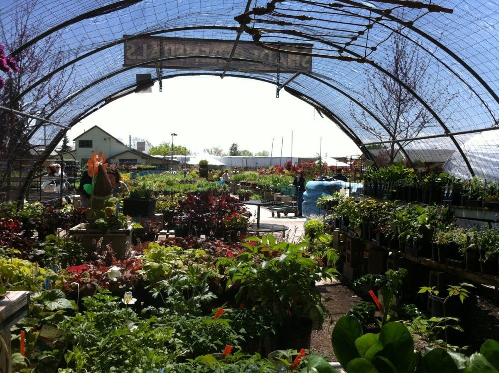 Nursery and Garden Shop in Park City, Utah - PARK CITY GARDENS