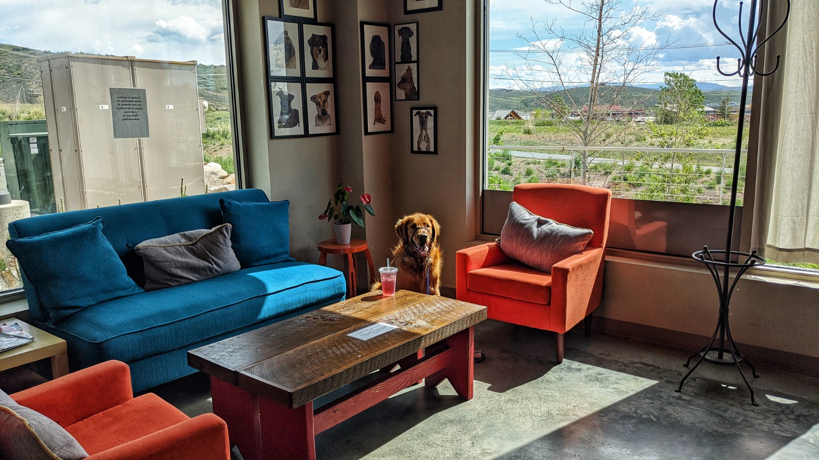 Dog Friendly Coffee Shops Around SLC Dog Friendly SLC