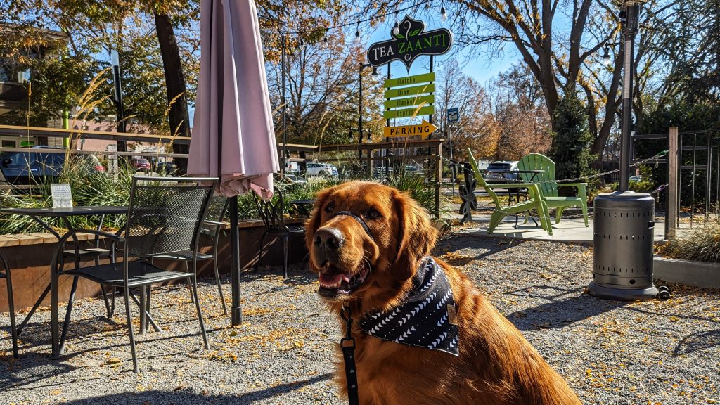 Dog Friendly Coffee Shops San Jose, CA - Last Updated December