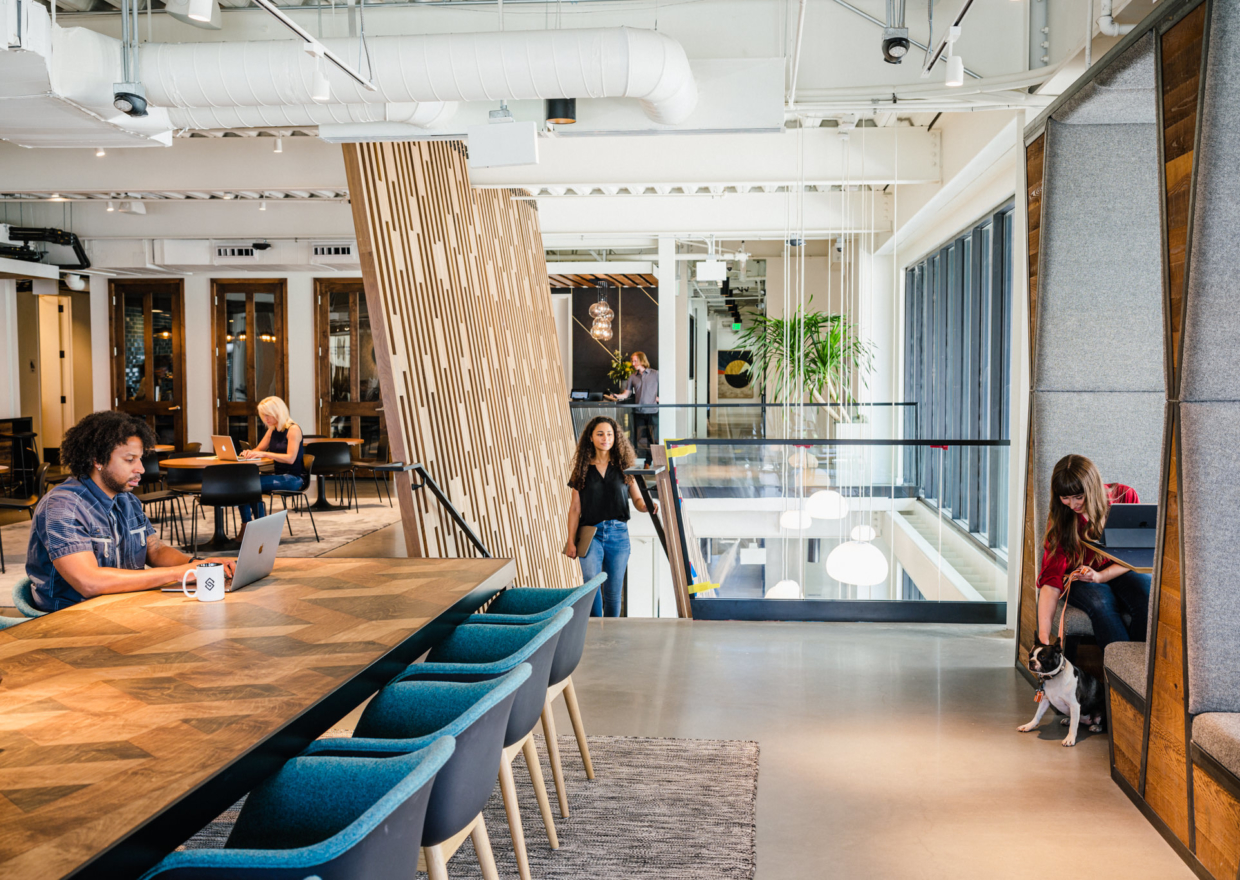 Dog Friendly Coffee Shops Around SLC Dog Friendly SLC