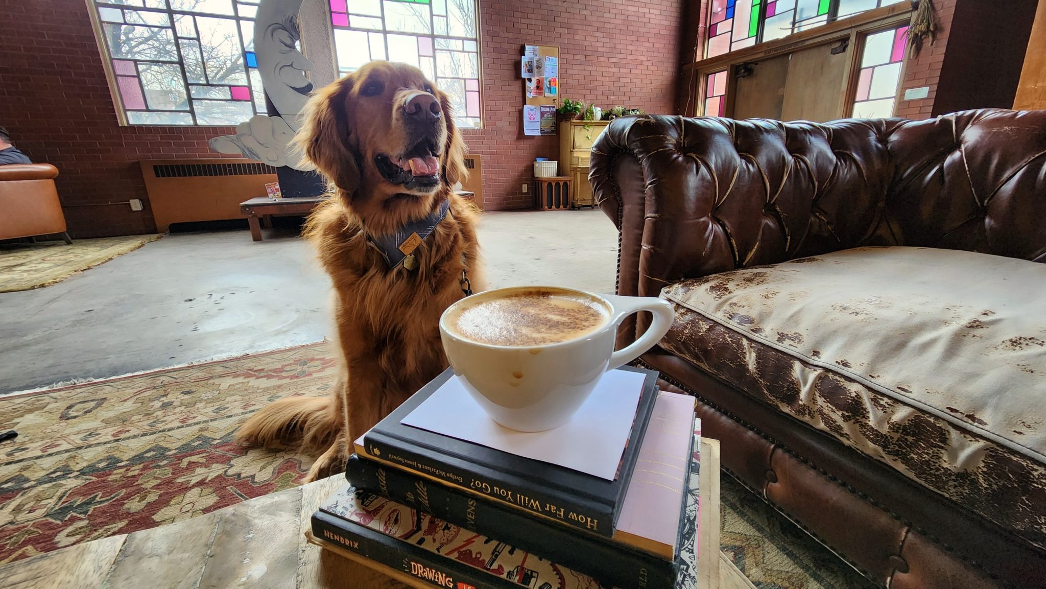Dog Friendly Coffee Shops Around SLC Dog Friendly SLC