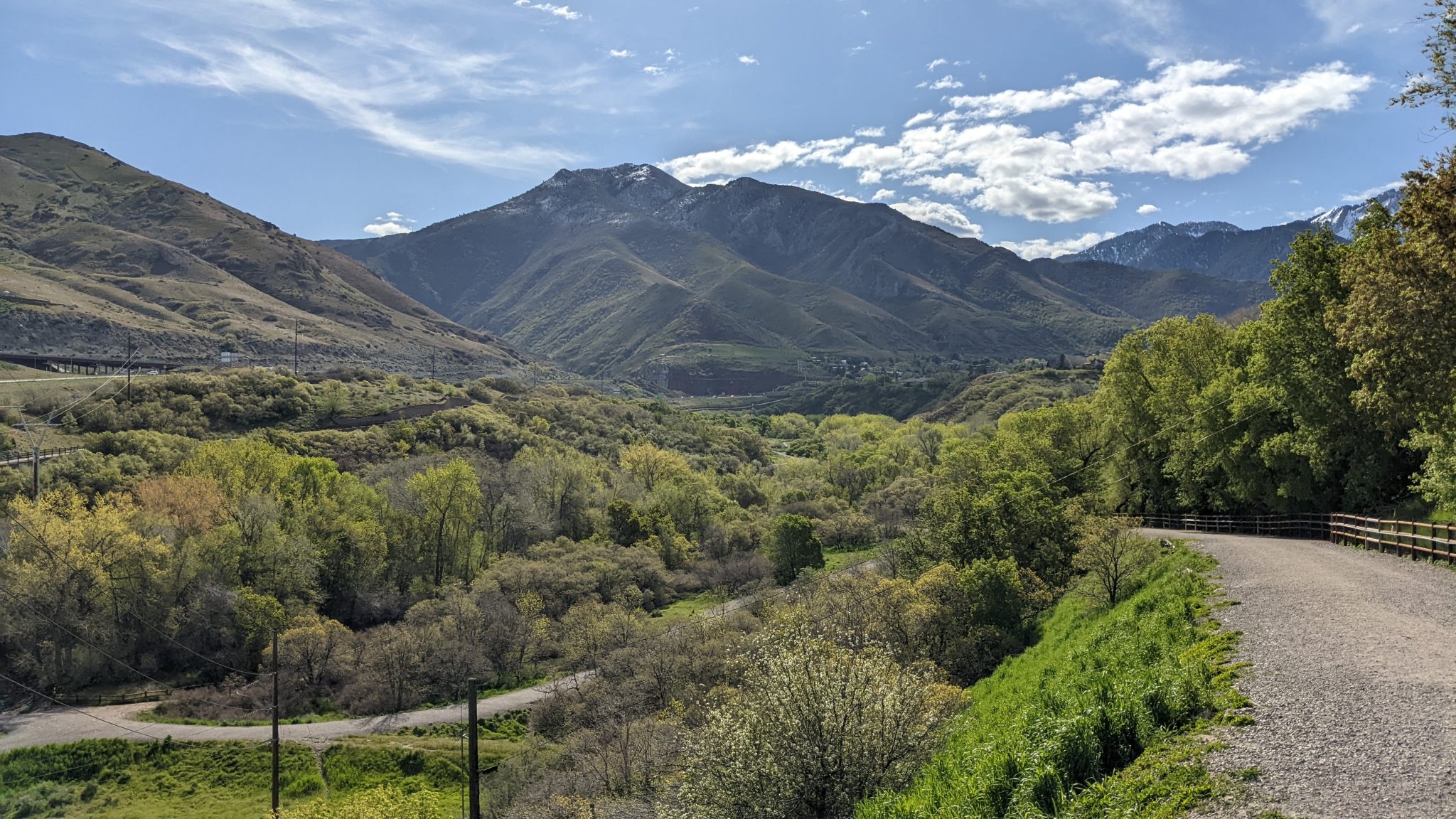 A Dog Owner's Guide to Tanner Park Dog Friendly SLC