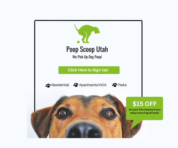 Poop Scoop Utah Dog Friendly SLC Website (600 × 500 px) (1)