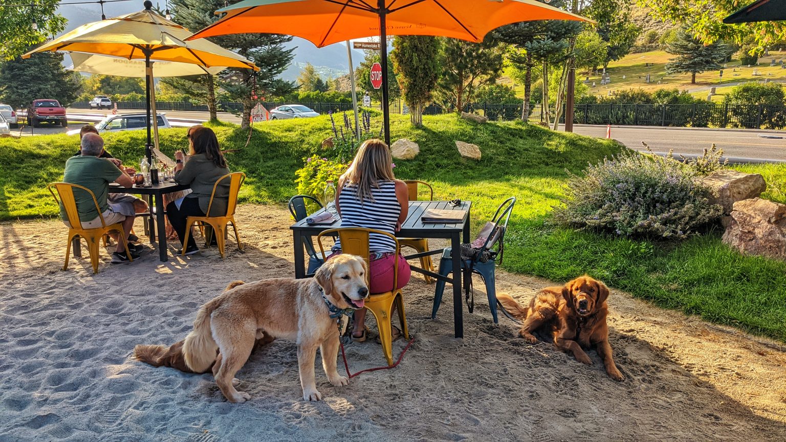 Dog Friendly Restaurants and Bars in Park City, Utah Dog Friendly SLC