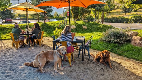 Dog Friendly Restaurants and Bars in Park City, Utah