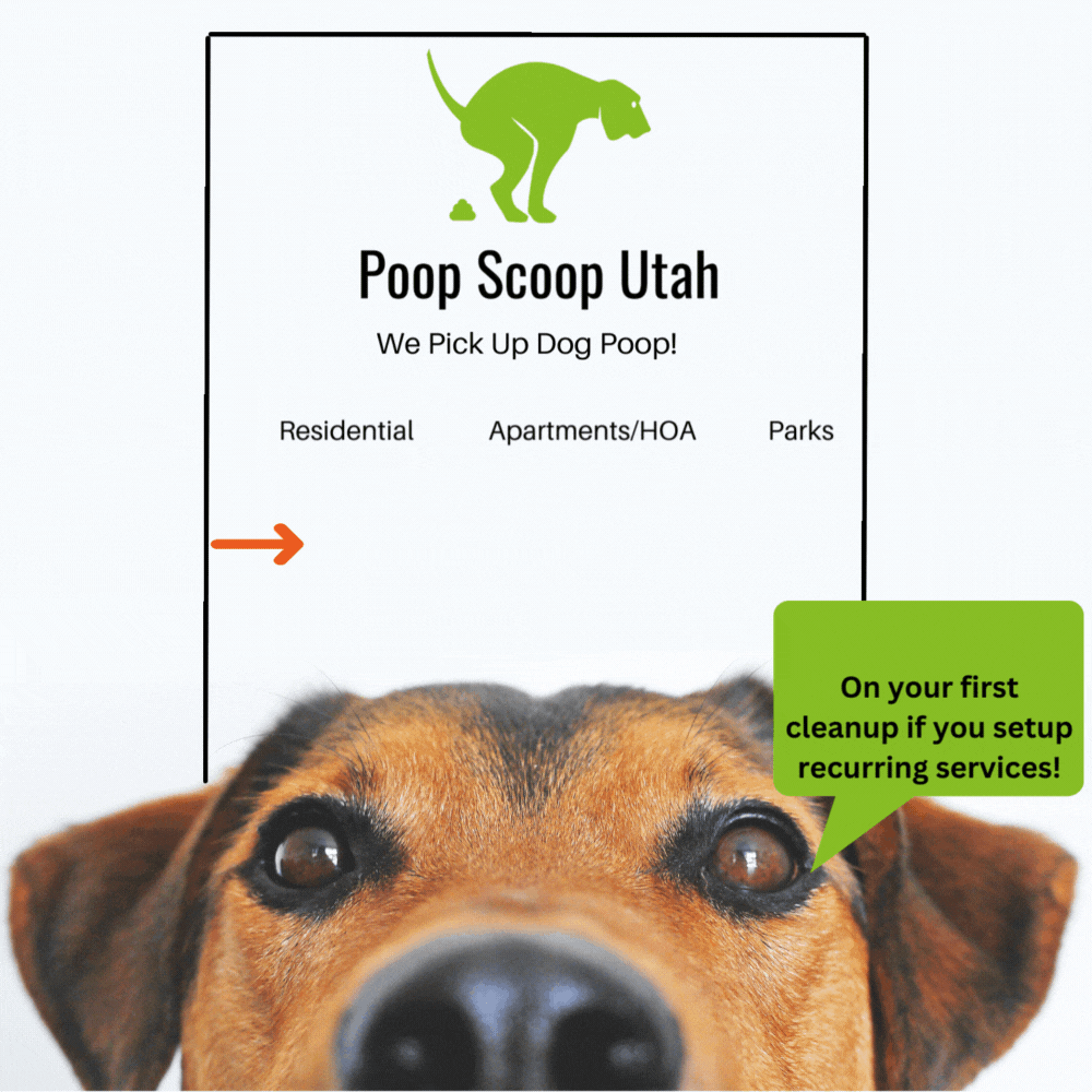 Poop Scoop Utah Dog Friendly SLC Website (1000 x 1000 px)
