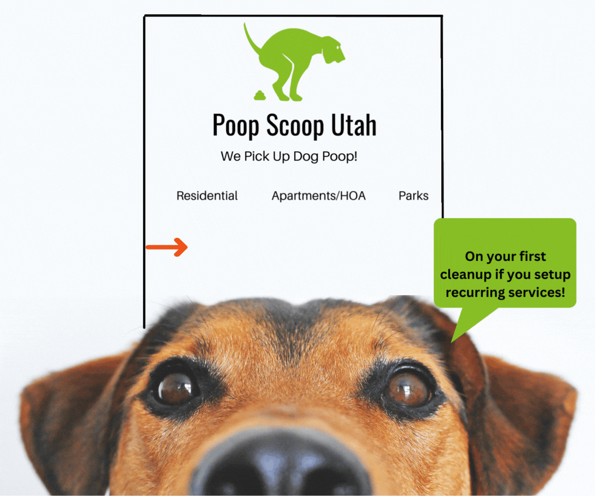 Poop Scoop Utah Dog Friendly SLC Website (1200 x 1000 px)