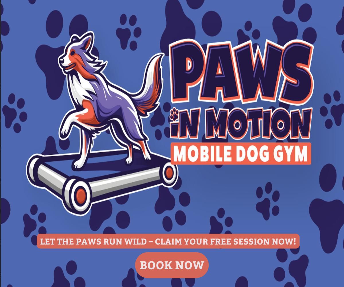 ADforPawsinMotion