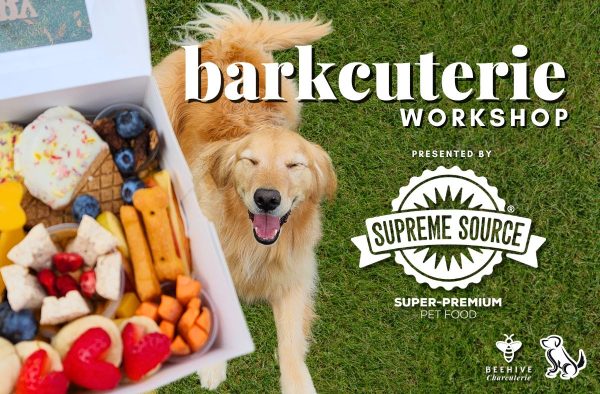 Barkcuterie Workshop