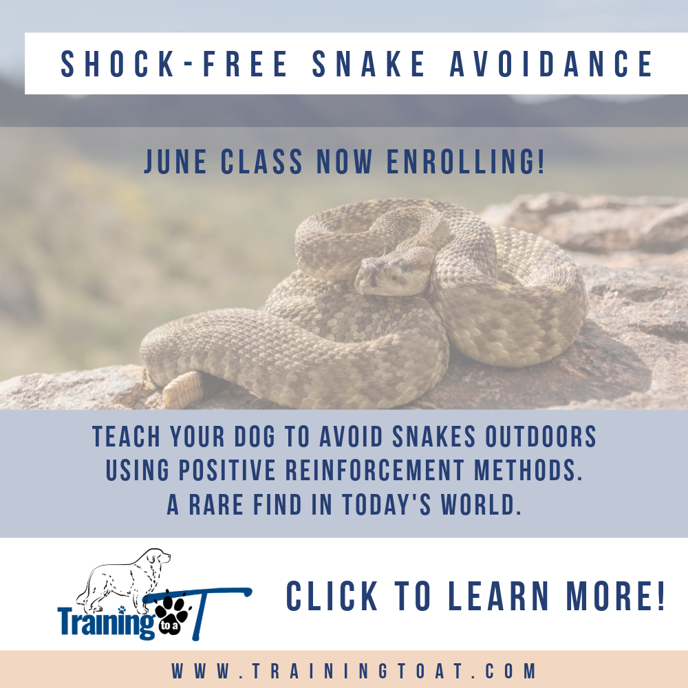 Snake Avoidance Ad