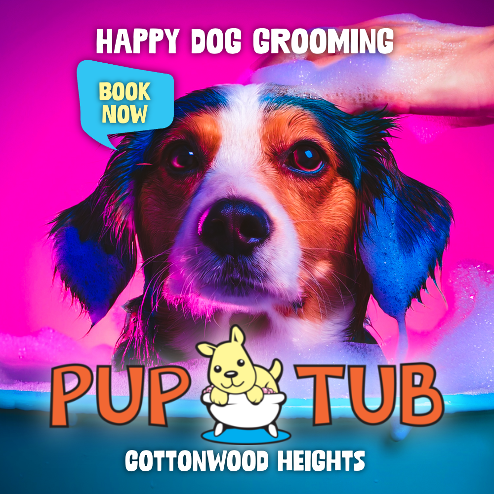PupTub-4-1200x1000 (1)