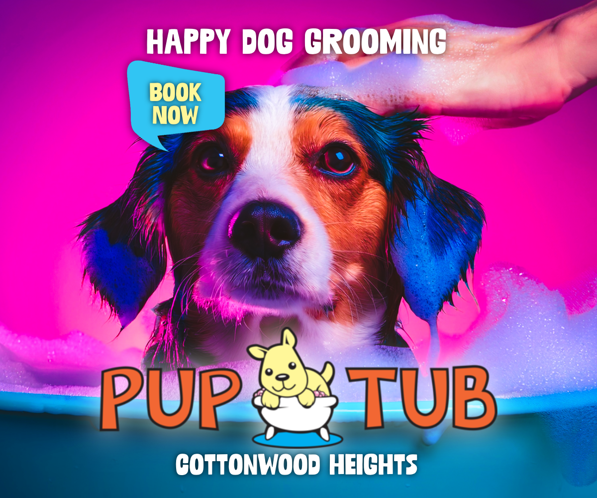 PupTub-5-1200x1000
