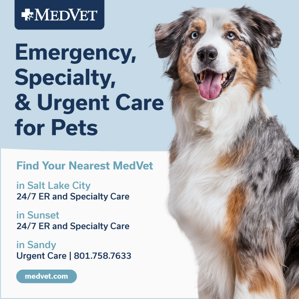 SLC_DogFriendlySLCAds_Jul2025