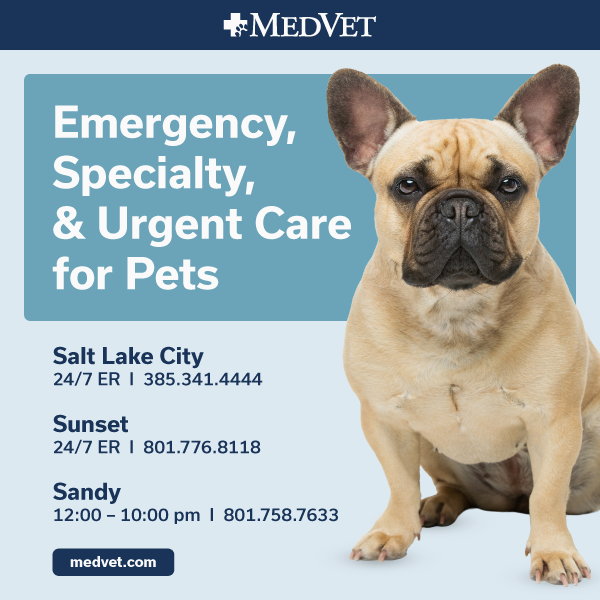 SLC_DogFriendlyAds_MKTG_600x600_251028_v2