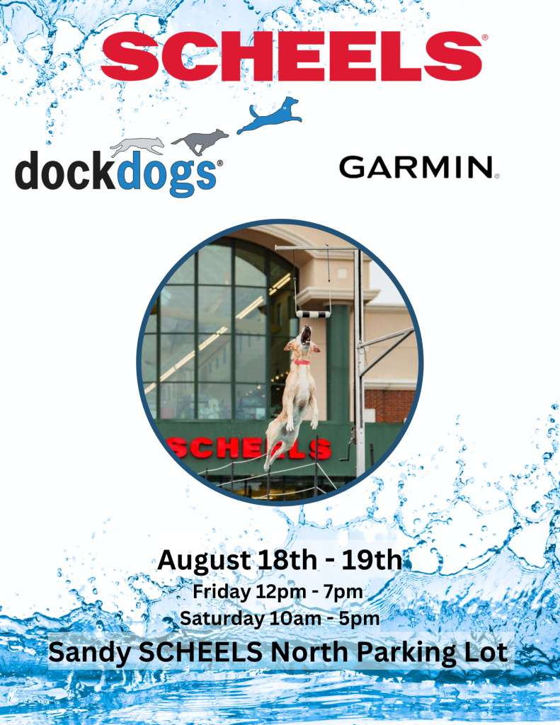 Dock Dogs at Sandy SCHEELS Dog Friendly SLC