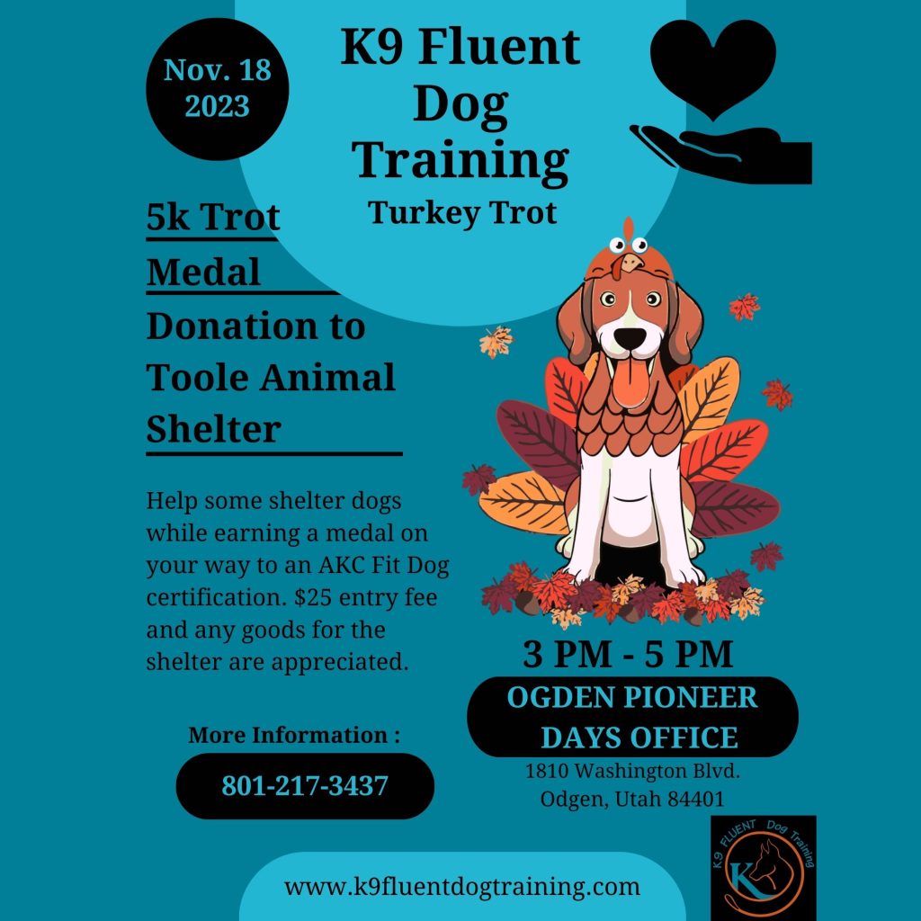 AKC FIT DOG Turkey Trot Dog Friendly SLC